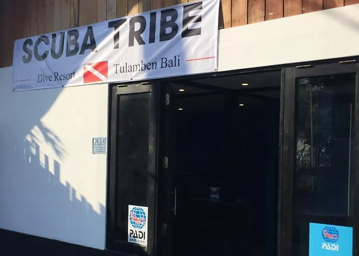 Scuba Tribe Bali Dive-resort 2* 图兰奔