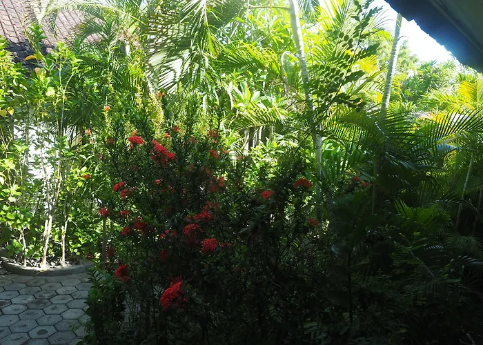 Scuba Tribe Bali Dive-resort 住宿加早餐酒店 2*