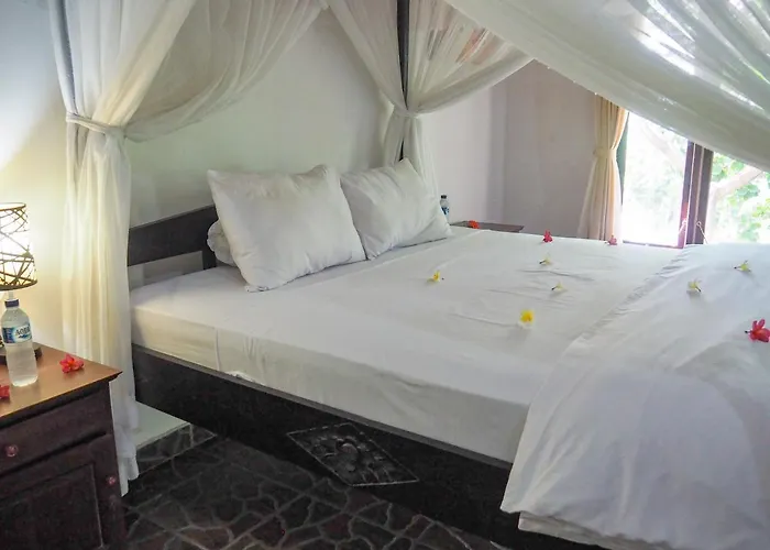住宿加早餐酒店 Scuba Tribe Bali Dive-resort 2*