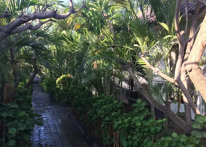 住宿加早餐酒店 Scuba Tribe Bali Dive-resort 2*